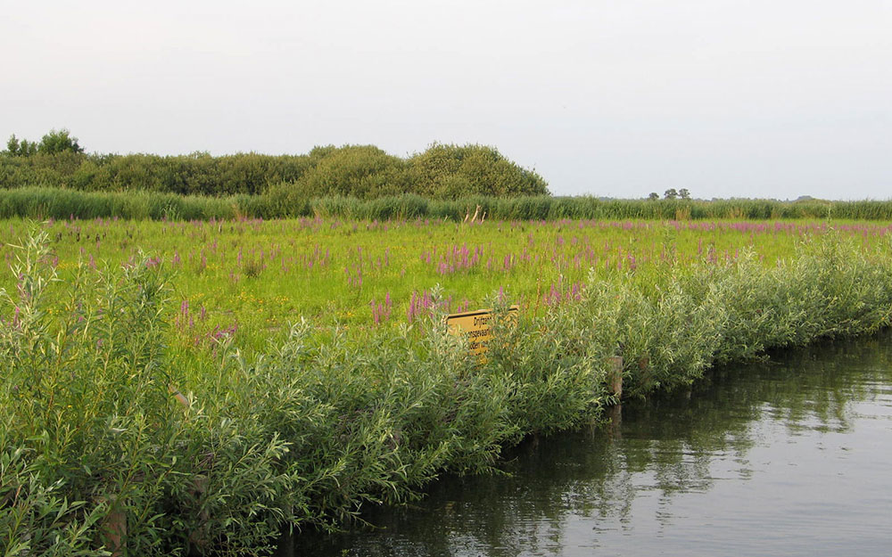 Plagseldepot Beulackerwijde