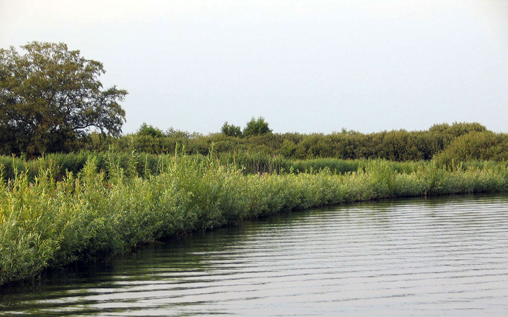 Plagseldepot Beulackerwijde