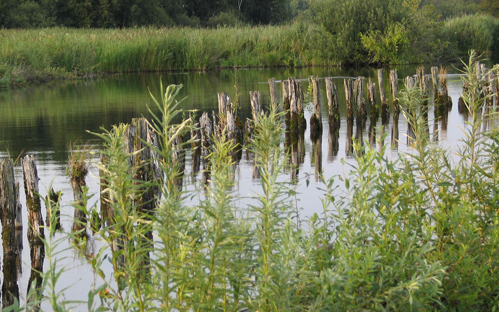 Plagseldepot Beulackerwijde